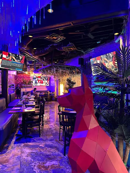 Octopus Kitchen & Hookah