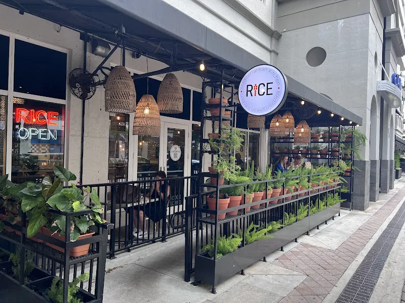 Rice Mediterranean Kitchen — vegan restaurant in Miami