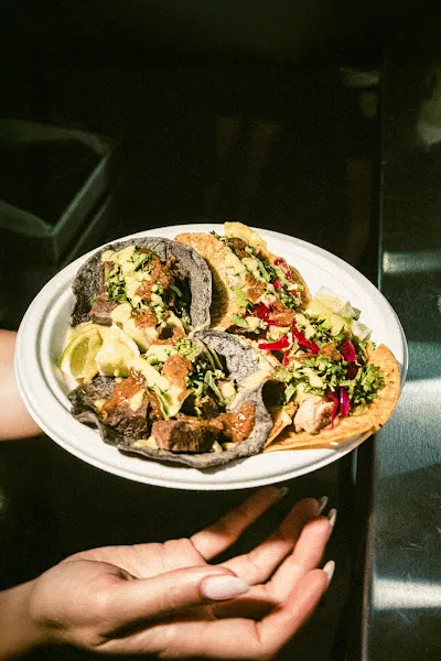Tacos MarÃ­a — dog-friendly restaurant in Miami