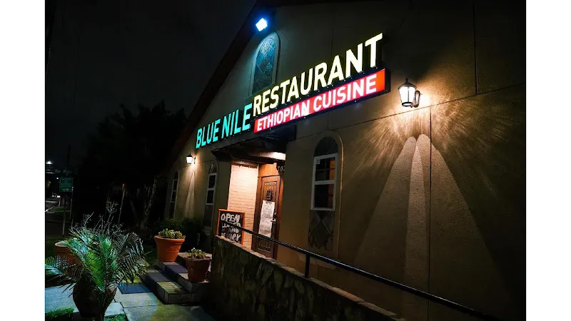 Blue Nile — vegan restaurants in Houston