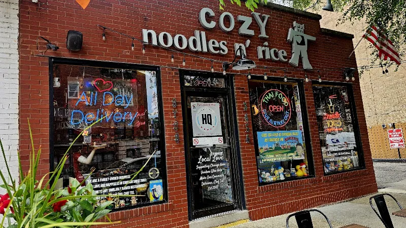 Cozy Noodles n' Rice — thai restaurant in Chicago