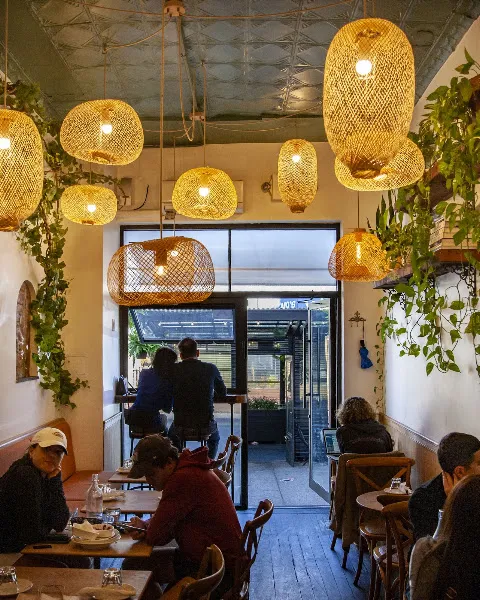 Levantine - Mediterranean Cuisine — vegetarian-friendly restaurants in Brooklyn