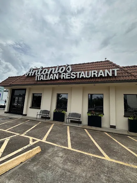 Antonioâs Flying Pizza — pizza restaurant in Houston