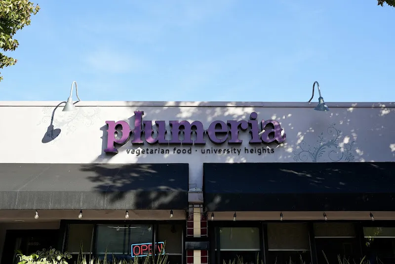 Plumeria Vegetarian Restaurant — vegetarian restaurant in San Diego