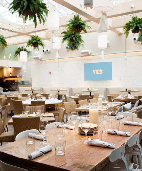 Summer House Santa Monica — dog-friendly restaurant in Chicago
