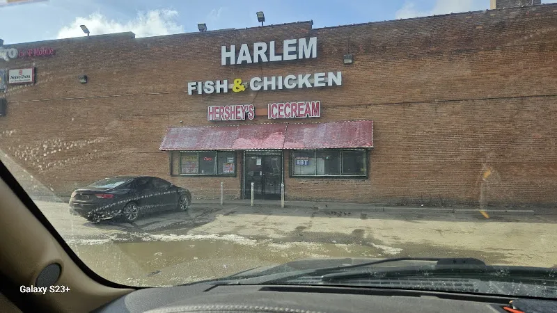 Harlem Fish & Chicken — restaurants with takeout in Detroit