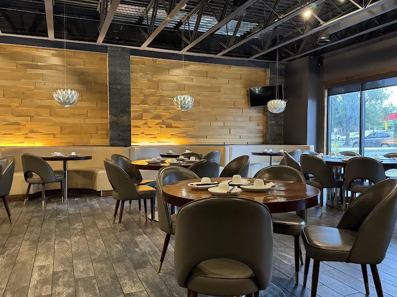 Dolo Restaurant and Bar — chinese restaurant in Chicago