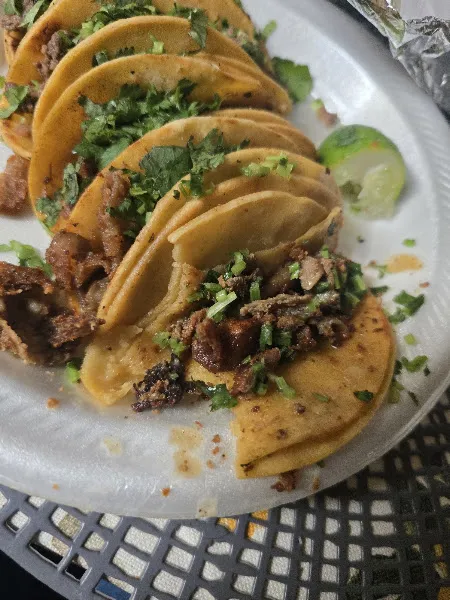 Mini Tacos El Primito Food Truck — mexican restaurant in San Antonio