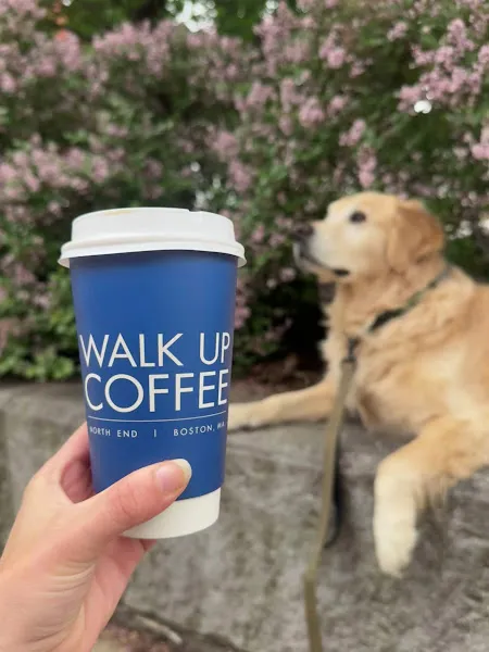 Walk Up Coffee