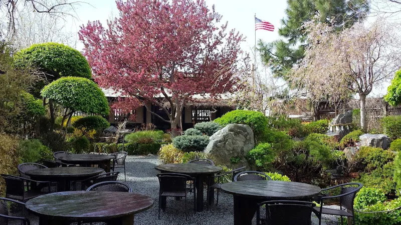 Domo Japanese Country Food Restaurant — sushi restaurant in Denver