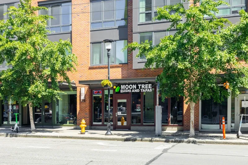 Moontree Sushi And Tapas — sushi restaurant in Seattle