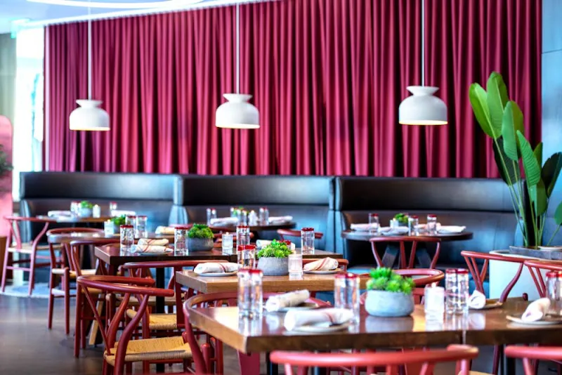 Para Maria — dog-friendly restaurants in Boston
