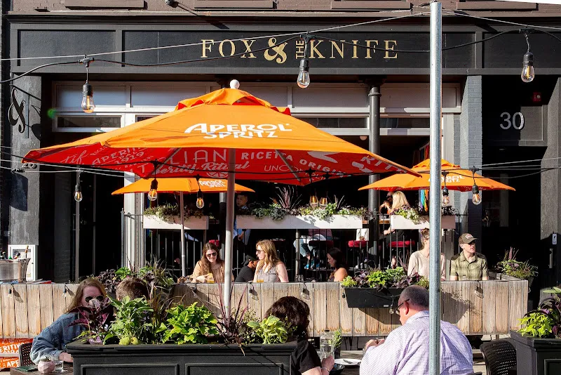 Fox & The Knife